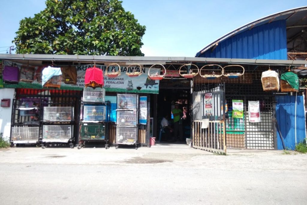 10 Kedai Haiwan Peliharaan di Pulau Pinang 2025 16 Delight-Pet-Penang-Shop