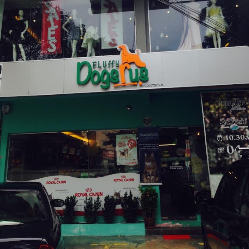 10 Kedai Haiwan Peliharaan di Pulau Pinang 2025 12 Fluffy-Dogs-R-Us-