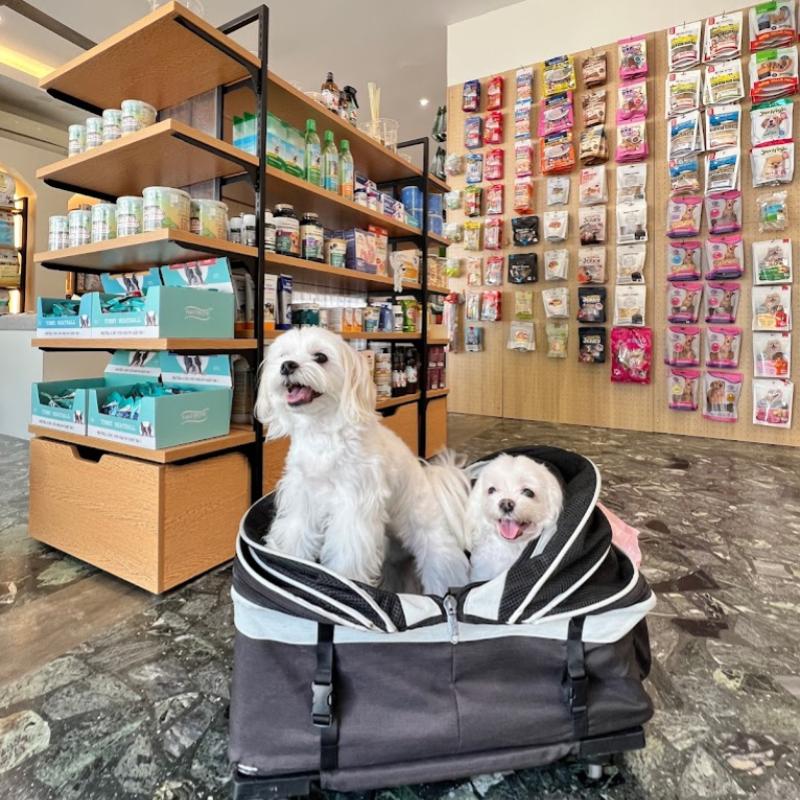10 Kedai Haiwan Peliharaan di Pulau Pinang 2025 13 Fluffy-Dogs-R-Us-