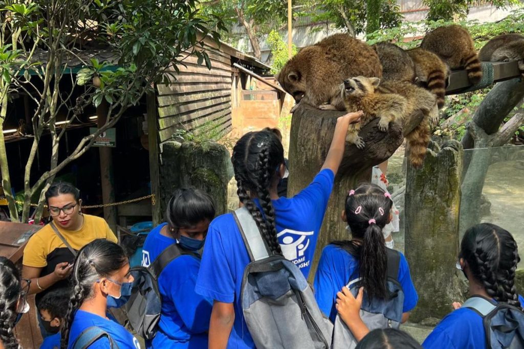 10 Aktiviti Outdoor Terbaik di Selangor 2025 5 Get-Close-With-Animals-At-Farm-In-The-City-