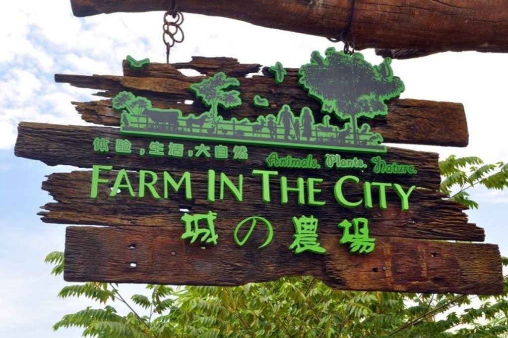 10 Aktiviti Outdoor Terbaik di Selangor 2025 4 Get-Close-With-Animals-At-Farm-In-The-City