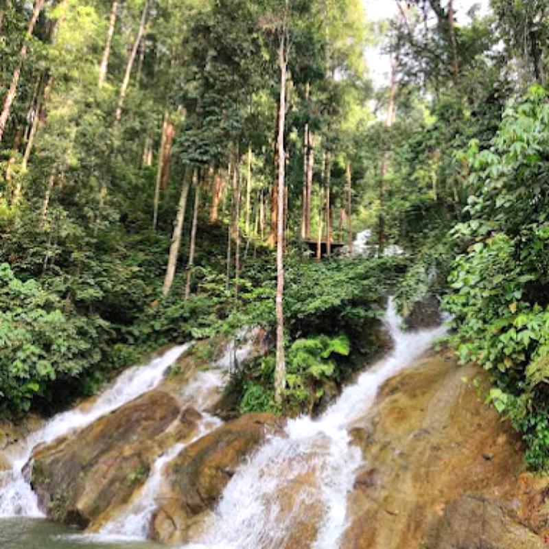 10 Aktiviti Outdoor Terbaik di Selangor 2025 14 Hiking-At-Taman-Rimba-Templer-