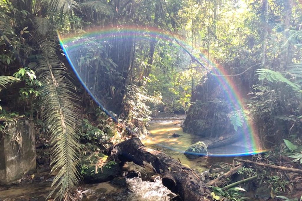 10 Aktiviti Outdoor Terbaik di Selangor 2025 15 Hiking-At-Taman-Rimba-Templer-