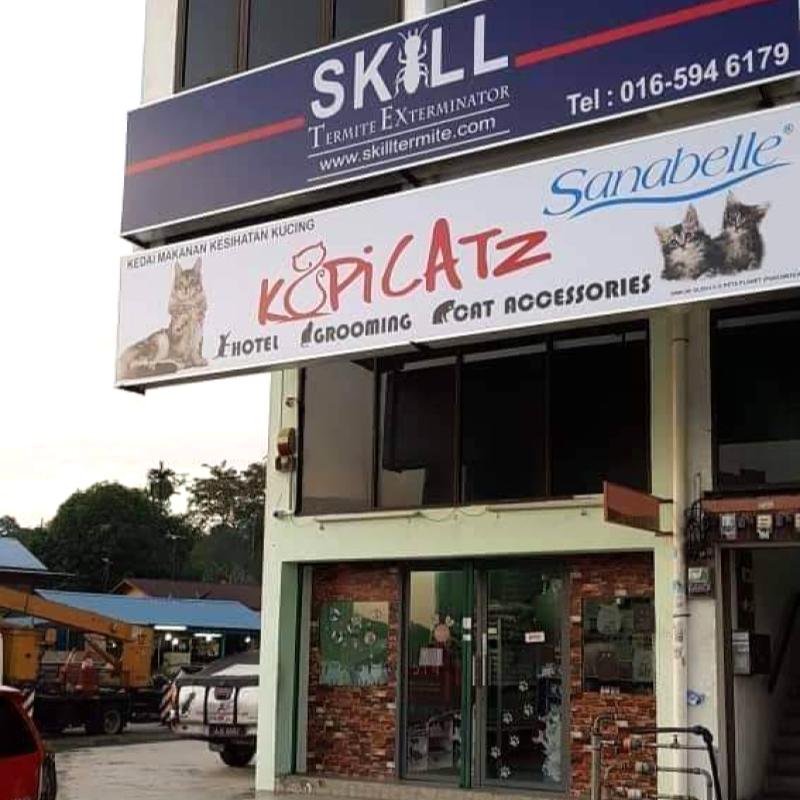 10 Kedai Haiwan Peliharaan di Pulau Pinang 2025 6 Kopicatz-Penang