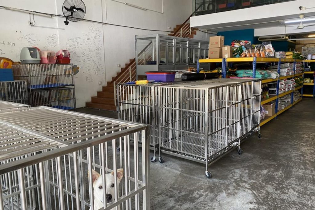 7 Kedai Haiwan Peliharaan Terbaik di Setia Alam 2025 9 My-Pets-Haven-Setia-Alam-