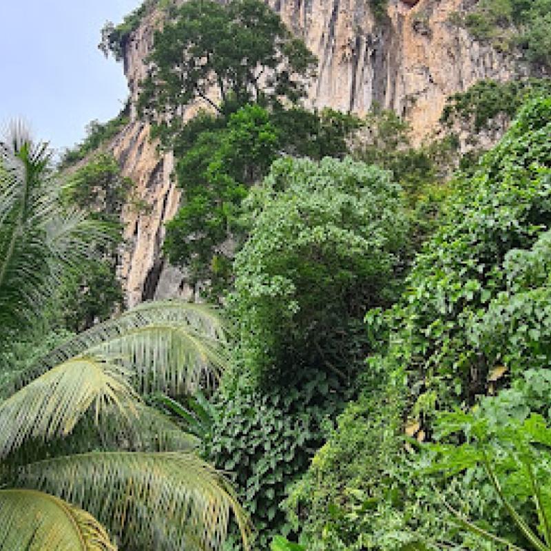 Top 10 Best Rock Climbing Places in Malaysia 2025 17 Nyamuk-Wall-Rock-Climbing-Site-