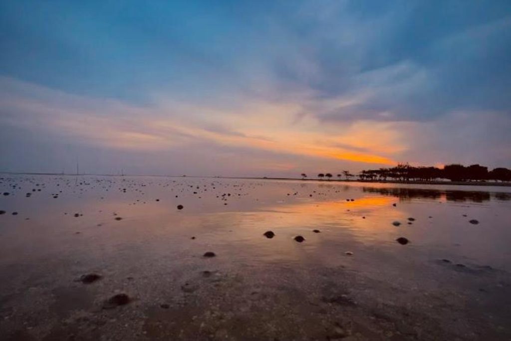 Top 10 Best Beaches Near Kuala Selangor 2025 7 Pantai-Siput-Jalan-Bumi-Hijau-