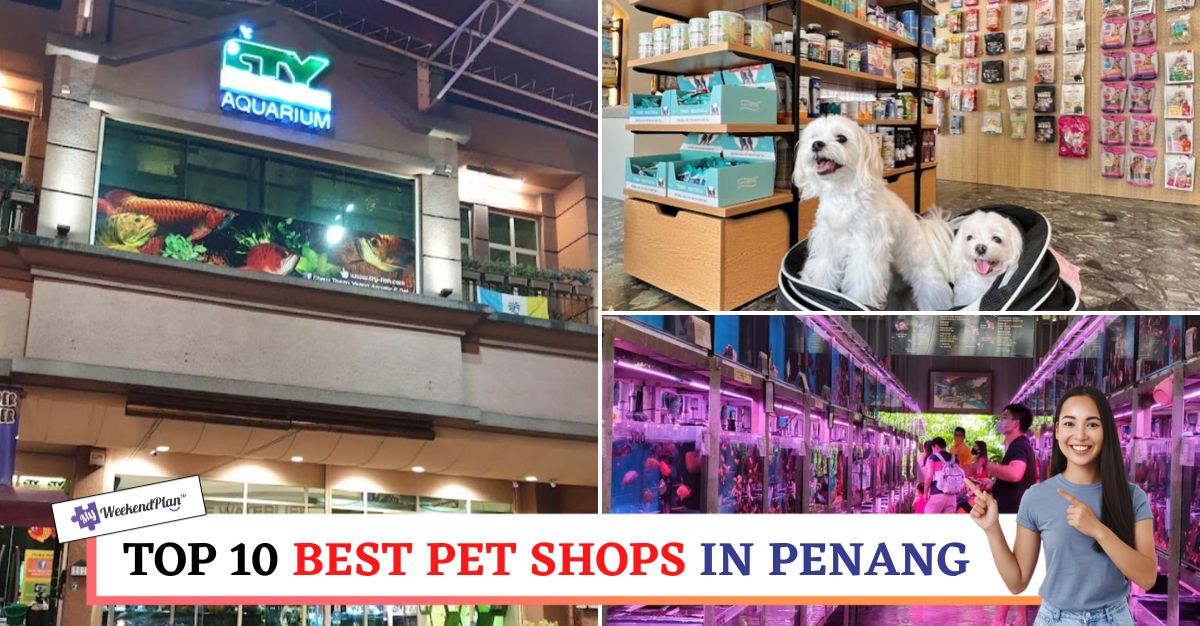 TOP--BEST-PET-SHOPS-IN-PENANG