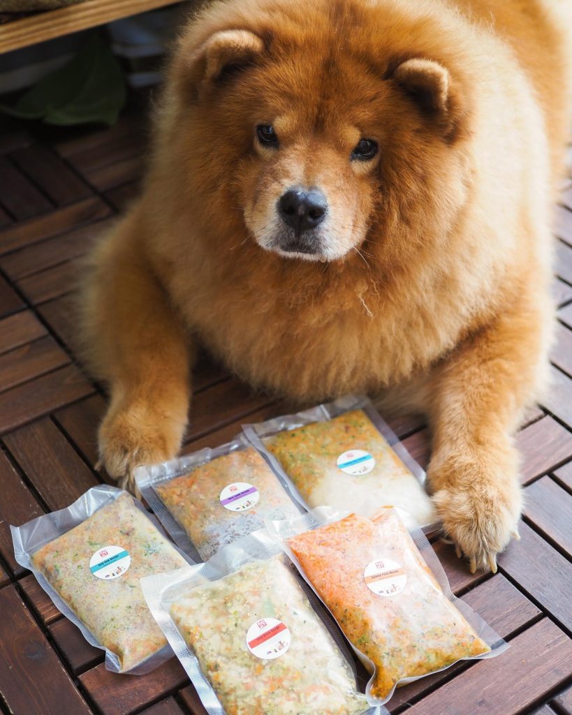 The Pet Slave Fresh Food to Pamper Your Furry Friends 9 TPS-Dog-with-Food-