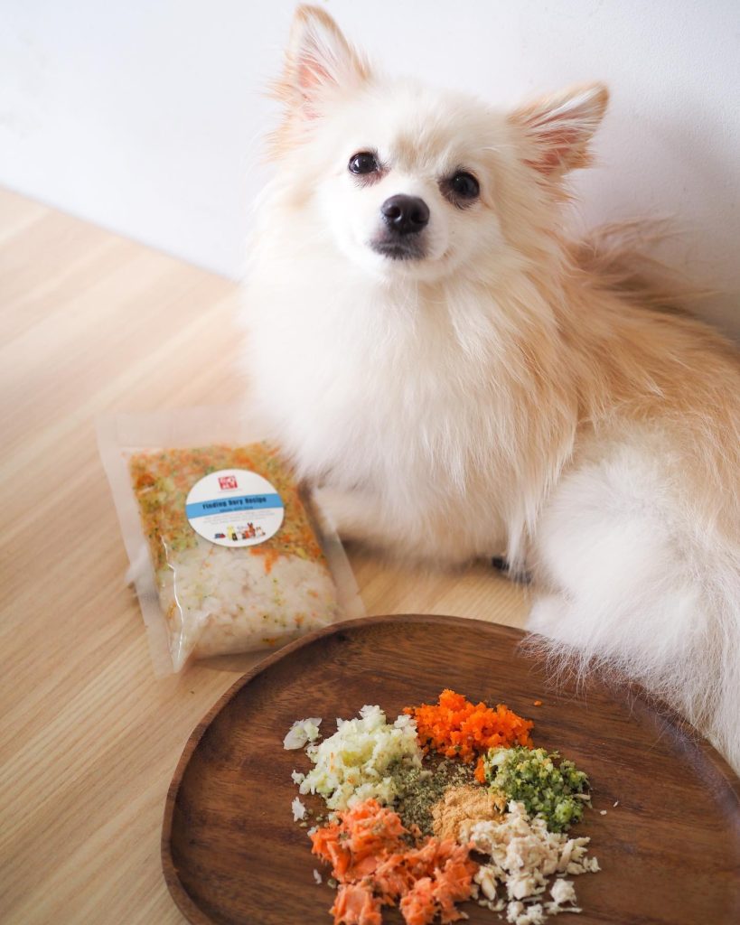 The Pet Slave Fresh Food to Pamper Your Furry Friends 7 TPS-Dog-with-Food