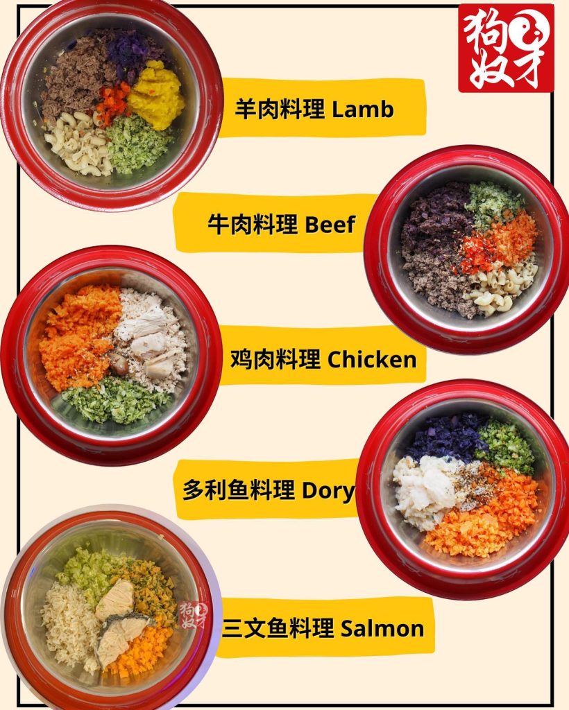 The Pet Slave Fresh Food to Pamper Your Furry Friends 5 TPS-Food-Menu