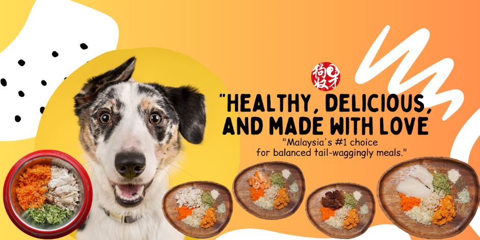 The Pet Slave Fresh Food to Pamper Your Furry Friends 1 The-Pet-Slave-Fresh-Food-to-Pamper-Your-Furry-Friends-