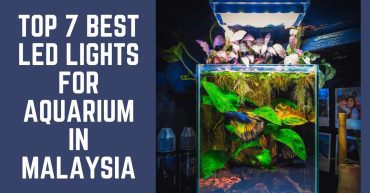 Top--Best-LED-Lights-for-Aquarium-in-Malaysia-