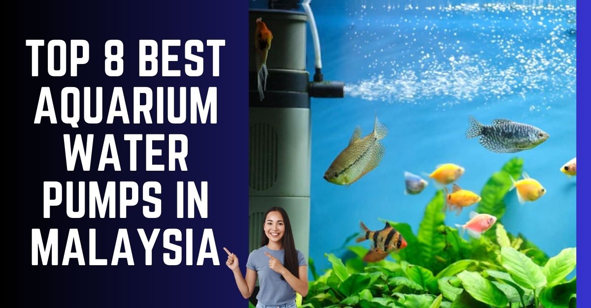 Top--Best-Aquarium-Water-Pumps-in-Malaysia