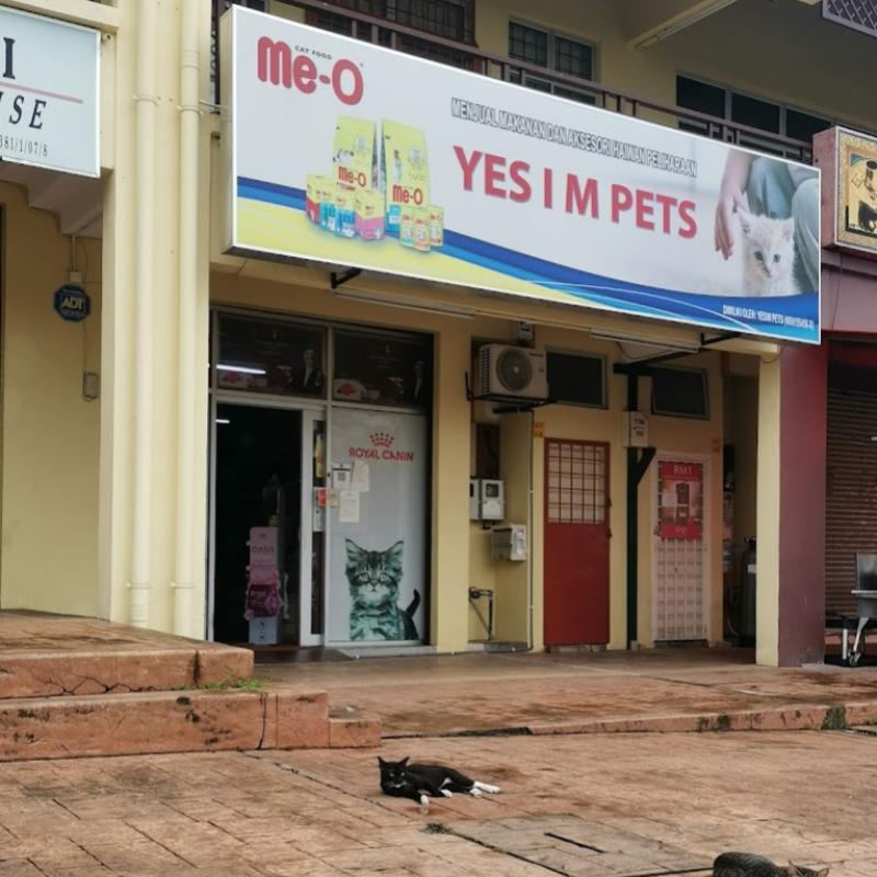 10 Kedai Haiwan Peliharaan Terbaik di Seremban 2025 16 Yesim-Pets