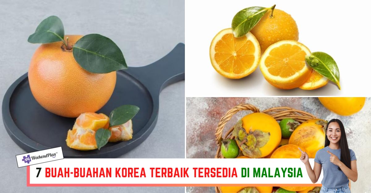 -BUAH-BUAHAN-KOREA-TERBAIK-TERSEDIA-DI-MALAYSIA