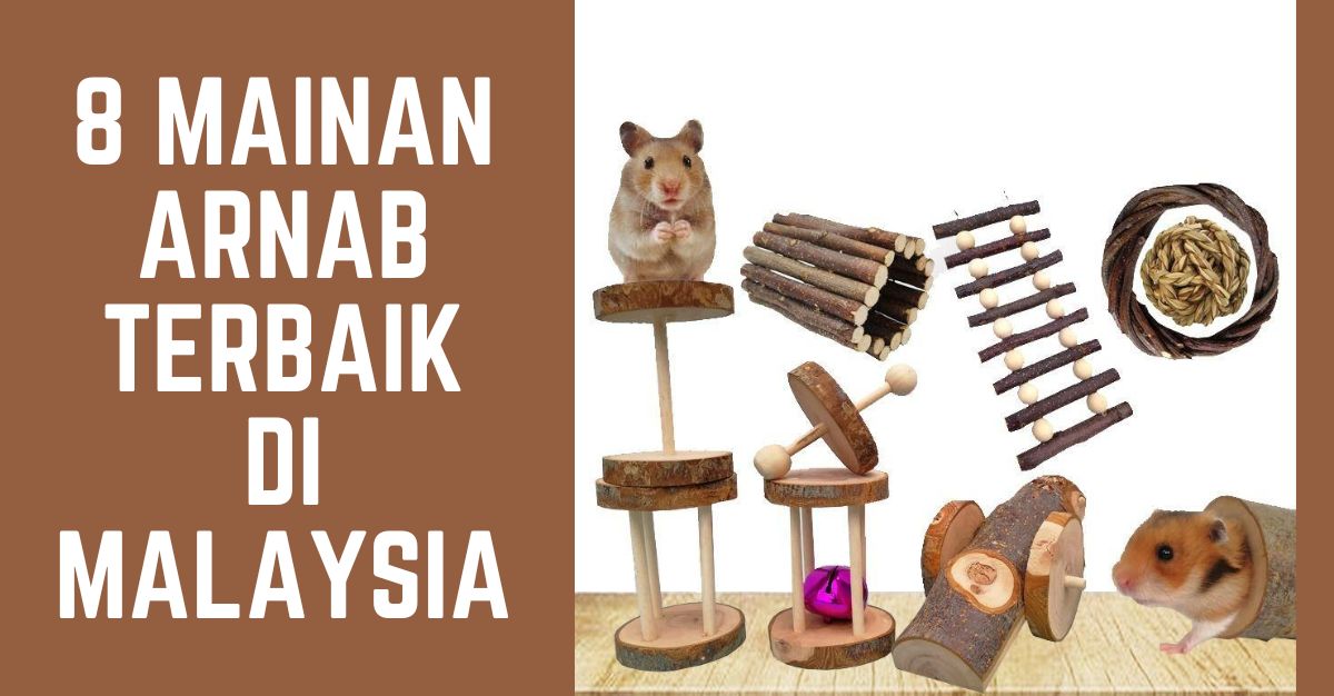 -MAINAN-ARNAB-TERBAIK-DI-MALAYSIA