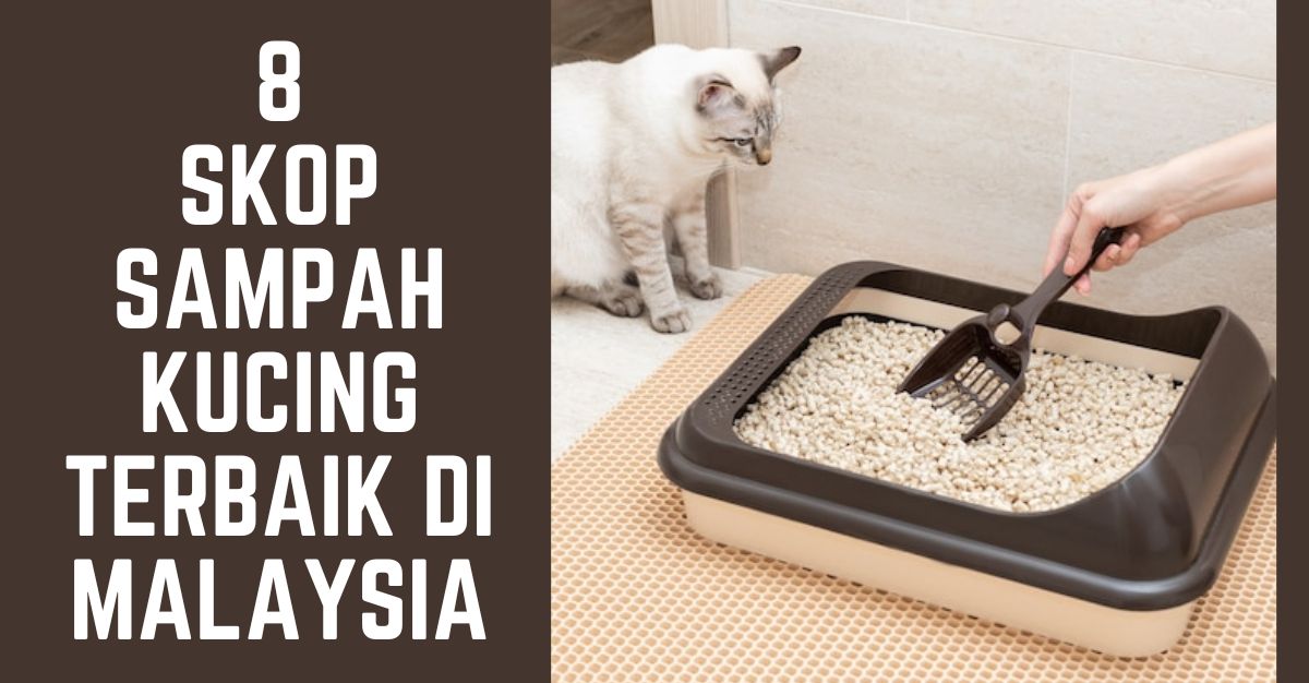 -Skop-Sampah-Kucing-Terbaik-di-Malaysia