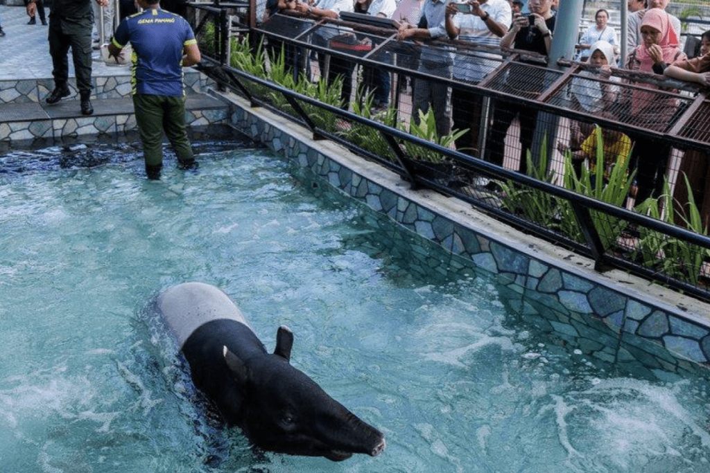 <strong>Experience Wildlife in The City at 99 Wonderland Park</strong> 2 -wonderland-