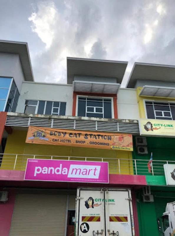 Top 10 Best Cat Grooming Shops in Sabah 2025 4 Boby-Cat-Station-