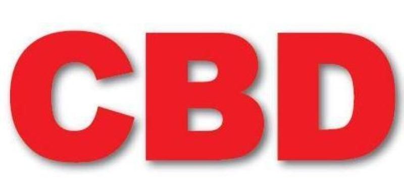 9 Agensi Hartanah Terbaik di Johor 2025 14 CBD-Properties-JB-Sdn-Bhd-