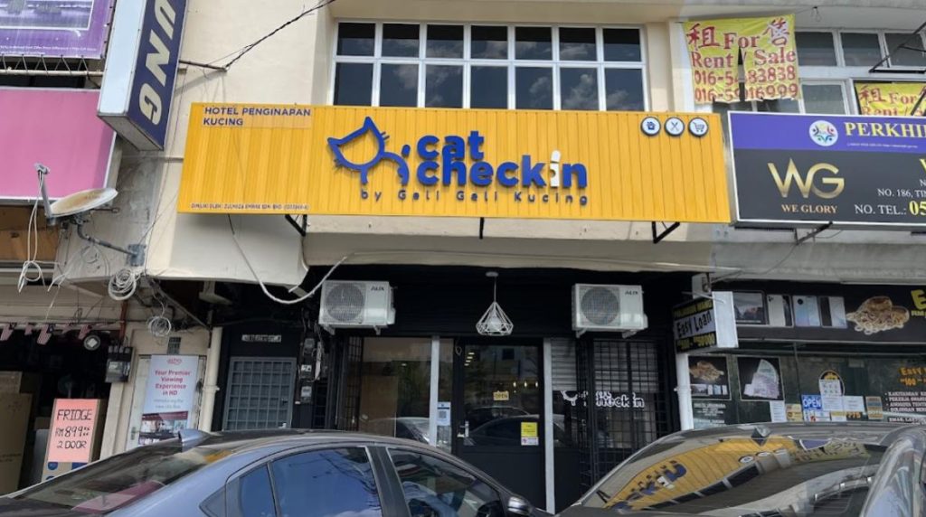 Top 10 Best Cat Grooming Shops in Ipoh 2025 18 Cat-Check-in-Ipoh-