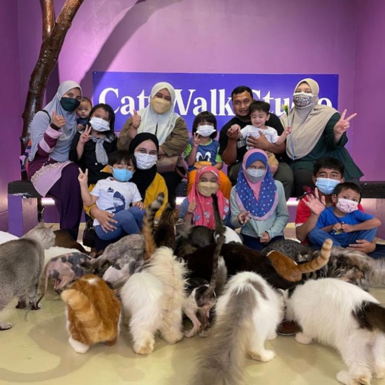 Top 7 Best Pet Cafes in Melaka 2024 Fur Friends