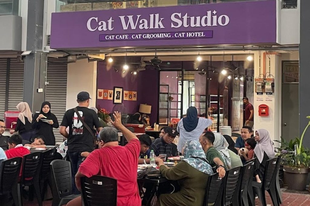 Top 7 Best Pet Cafes in Melaka 2025 4 Cat-Walk-Studio