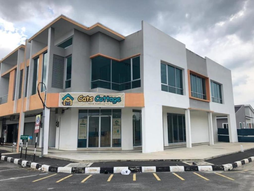 Top 10 Best Cat Grooming Shops in Ipoh 2025 10 Cats-Cottage-Ipoh-