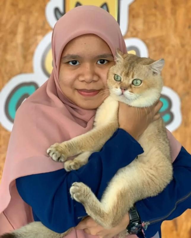 Top 10 Best Cat Grooming Shops in Ipoh 2025 11 Cats-Cottage-Ipoh-