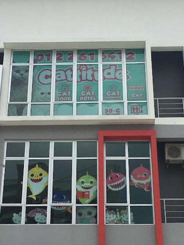 Top 10 Best Cat Grooming Shops in Johor 2025 16 Cattitude-Catshop-Grooming-Boarding-