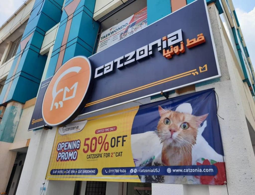 Top 10 Best Cat Grooming Shops in Johor 2025 2 Catzonia-Johor-