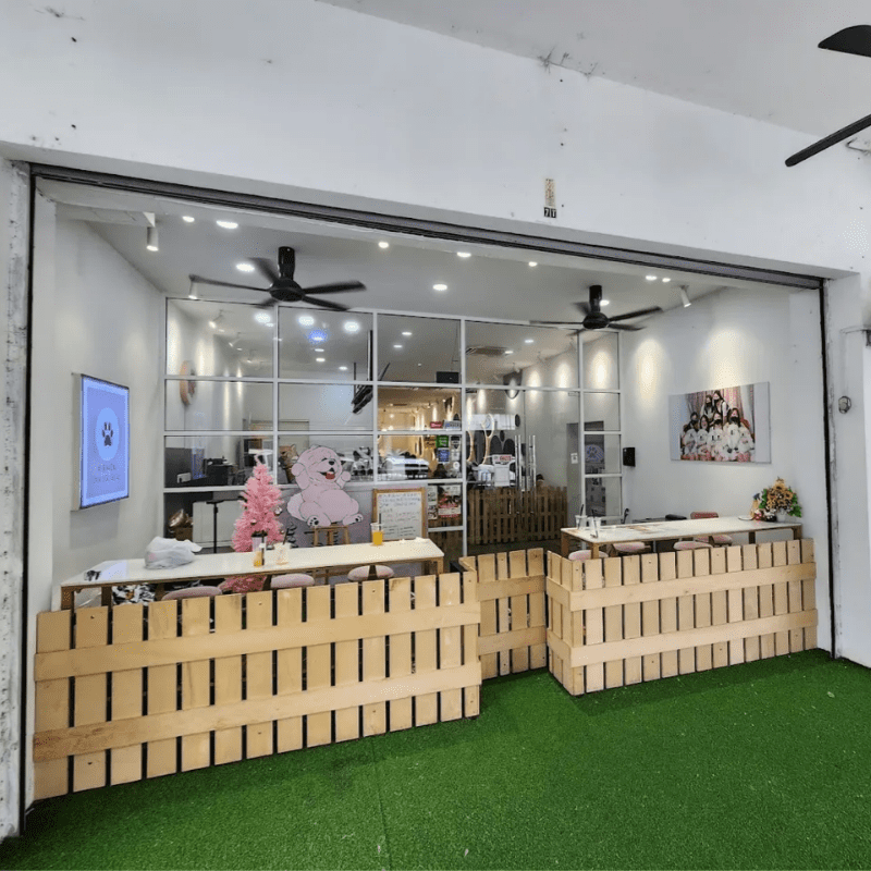 Top 8 Best Pet Cafes in Johor Bahru 2025 16 Chow-Q-Cafe