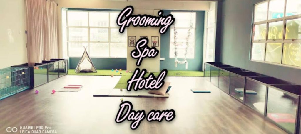 Top 10 Best Pet Grooming Shops in Penang 2025 20 Da-Pet-Pet-Stylist-