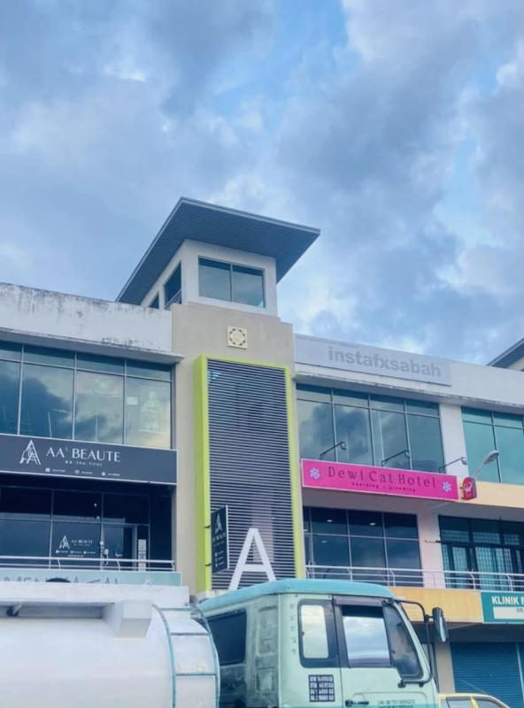 Top 10 Best Cat Grooming Shops in Sabah 2025 20 Dewi-Cat-Hotel-Grooming-