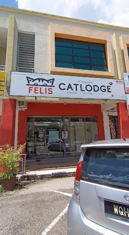 Top 10 Best Cat Grooming Shops in Ipoh 2025 12 Felis-Cat-Lodge-