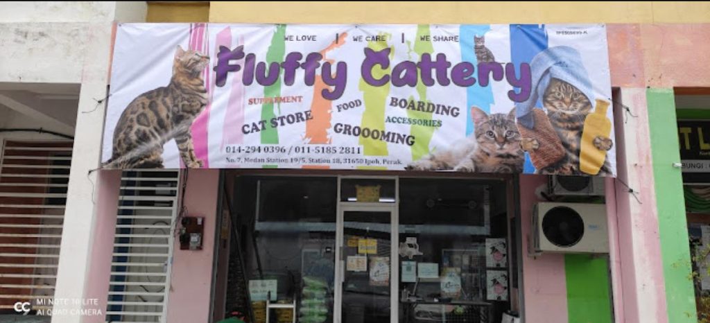 Top 10 Best Cat Grooming Shops in Ipoh 2025 16 Fluffy-Cattery-