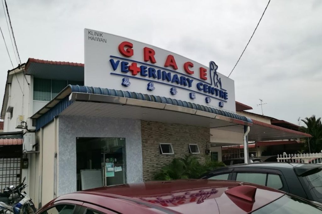 <strong>10 Klinik Haiwan Terbaik di Pulau Pinang 2024</strong> 23 Grace-Veterinary-Centre-