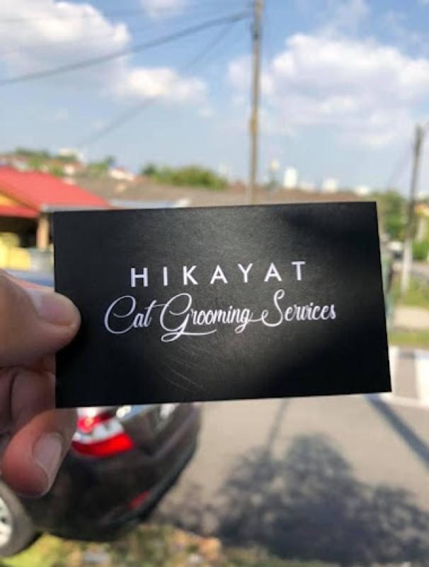 Top 10 Best Cat Grooming Shops in Johor 2025 20 Hikayat-Cat-Grooming-Service-