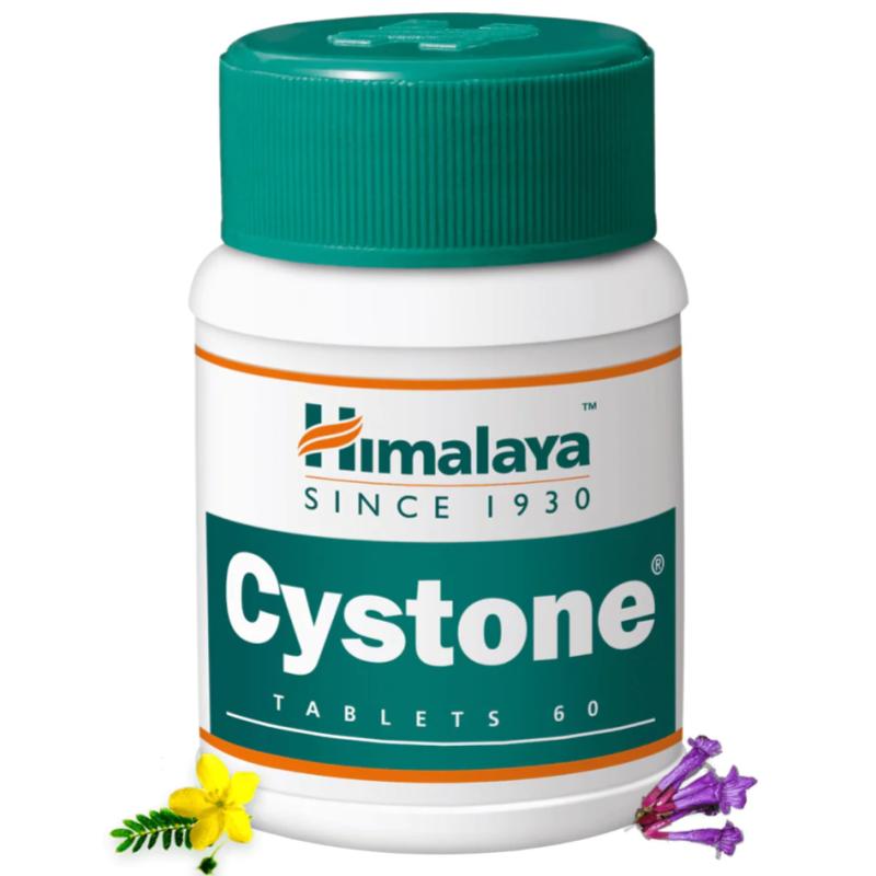Top 5 Best Supplements To Improve Kidney Health Naturally in Malaysia 2025 2 Himalaya-Cystone-Health-Care-s