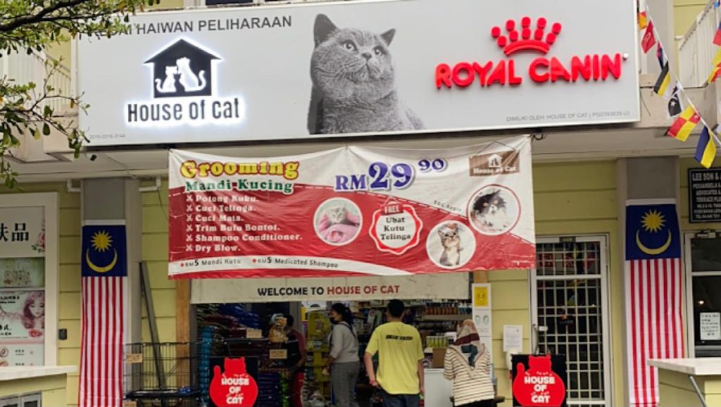 Top 10 Best Cat Grooming Shops in Penang 2025 2 House-of-Cat-