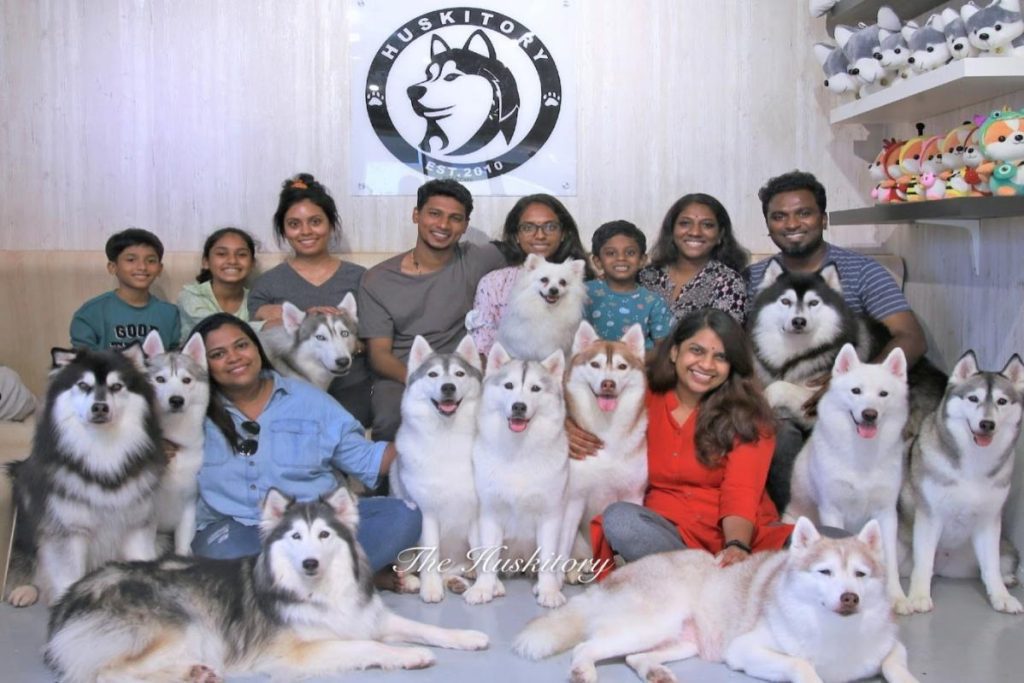 Top 7 Best Pet Cafes in Melaka 2025 3 Huskitory-