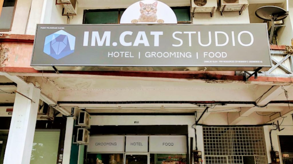 Top 10 Best Cat Grooming Shops in Penang 2025 16 IM.Cat-Studio-Pet-Shop-