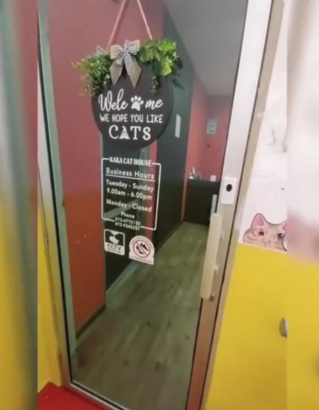 Top 10 Best Cat Grooming Shops in Penang 2025 10 Kaka-Cat-House-