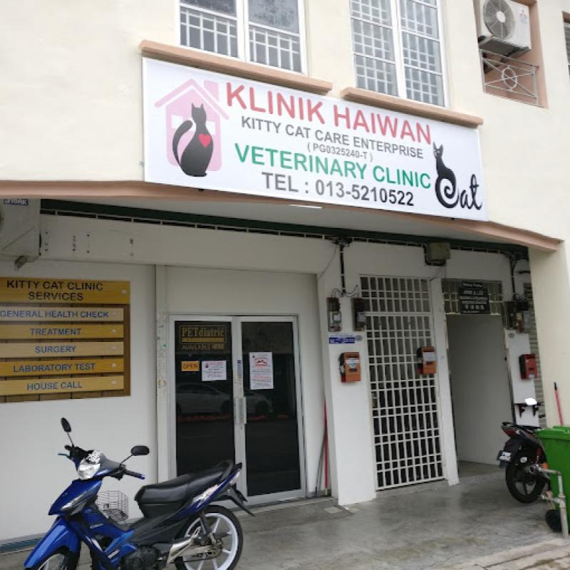<strong>10 Klinik Haiwan Terbaik di Pulau Pinang 2024</strong> 41 Kitty-Cat-Care-Enterprise-
