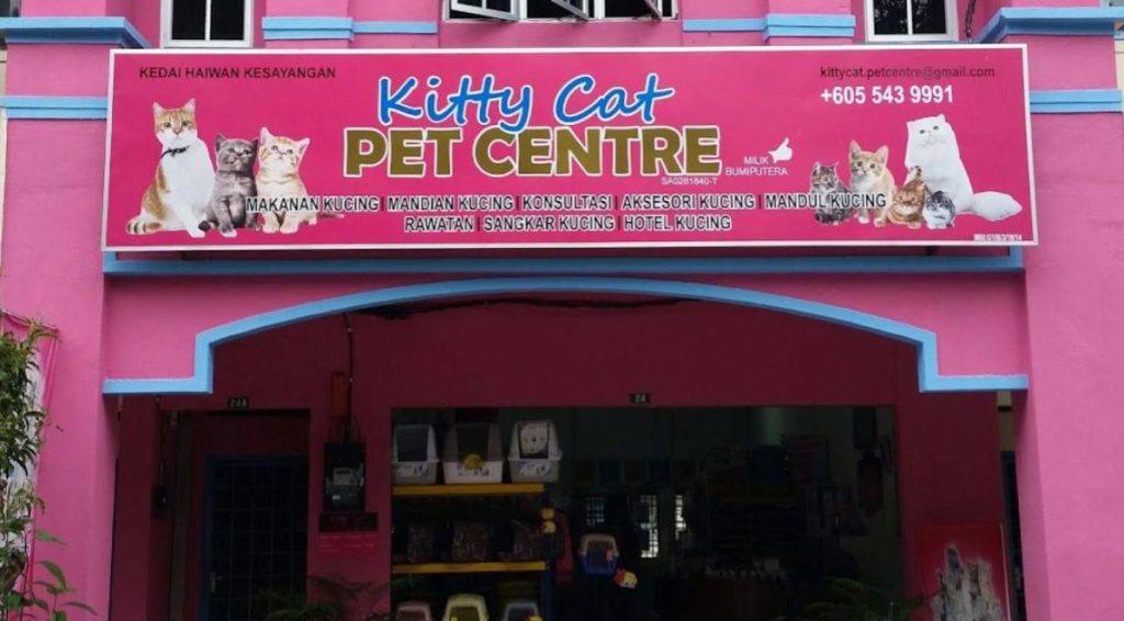 Top 10 Best Cat Grooming Shops in Ipoh 2025 2 Kitty-Cat-Pet-Centre-