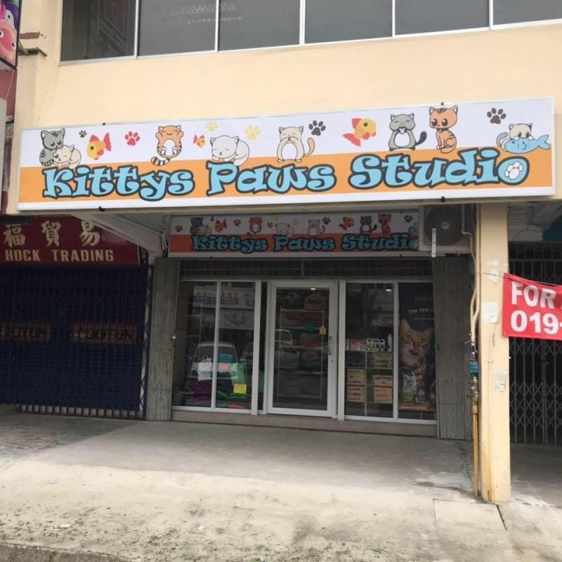 Top 10 Best Cat Grooming Shops in Sarawak 2025 4 Kittys-Paws-Studio-