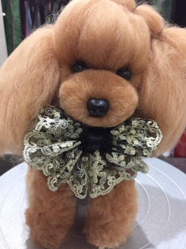 Top 10 Best Pet Grooming Shops in KL & Selangor 2025 15 Kuan-Pet-Salon-