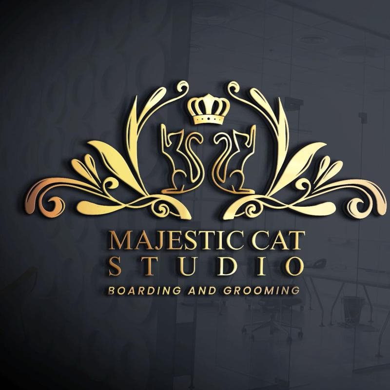 Top 10 Best Cat Grooming Shops in KL & Selangor 2025 18 Majestic-Cat-Studio
