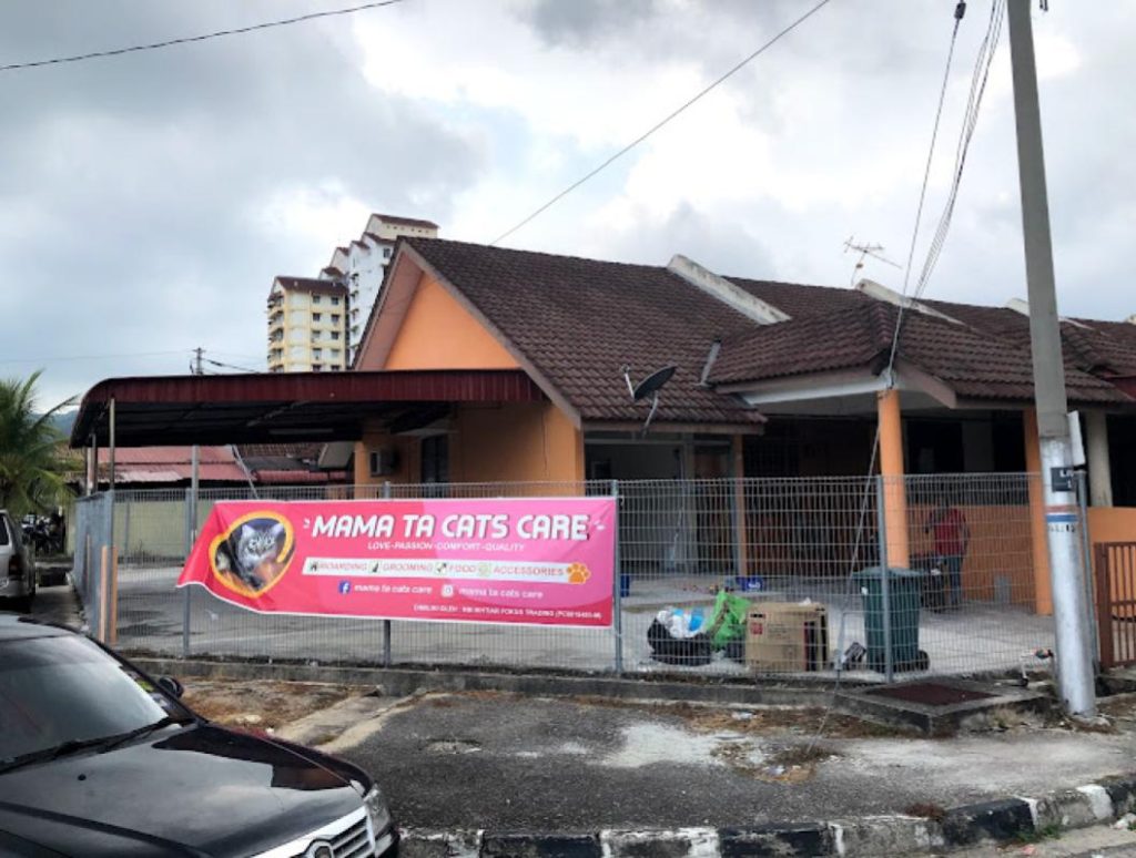 Top 10 Best Cat Grooming Shops in Penang 2025 14 Mama-Ta-Cats-Care-